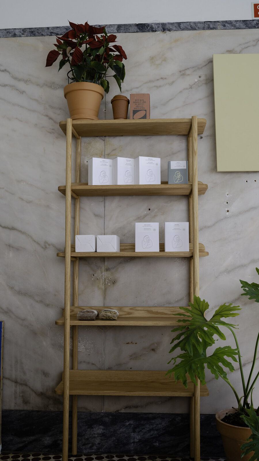 Oak shelving with plants, TACT